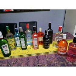 gin 12 flessen gin