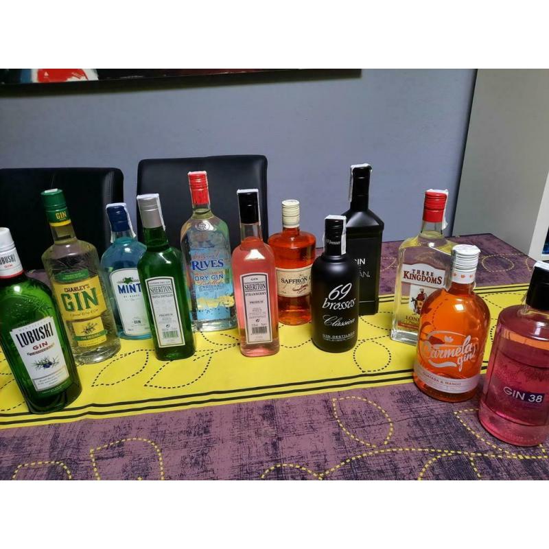 gin 12 flessen gin
