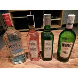 gin 12 flessen gin
