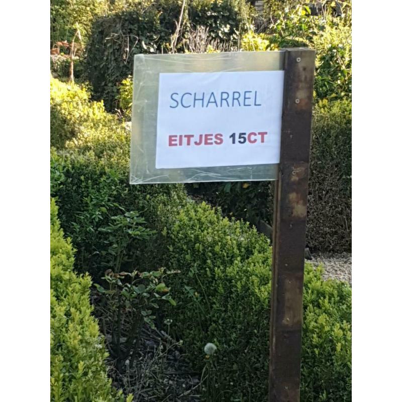 Scharrel eitjes 15 ct.