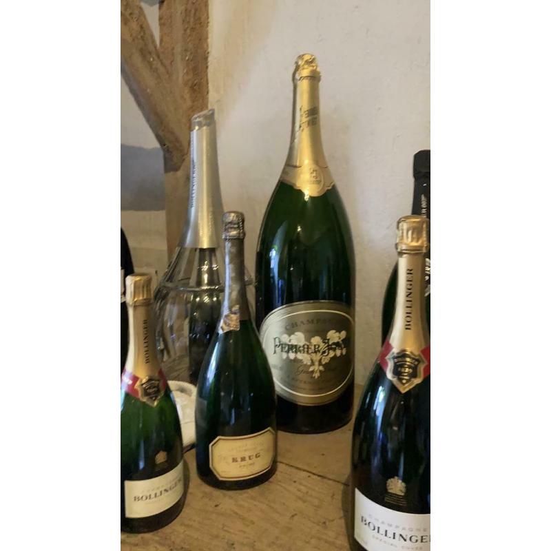 25 diverse champagnefactises