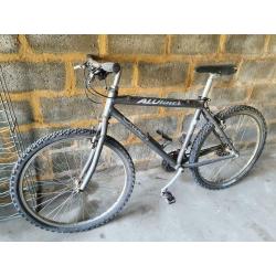 Velo homme