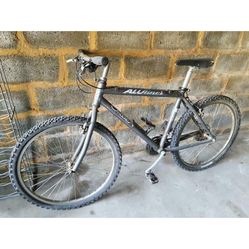 Velo homme