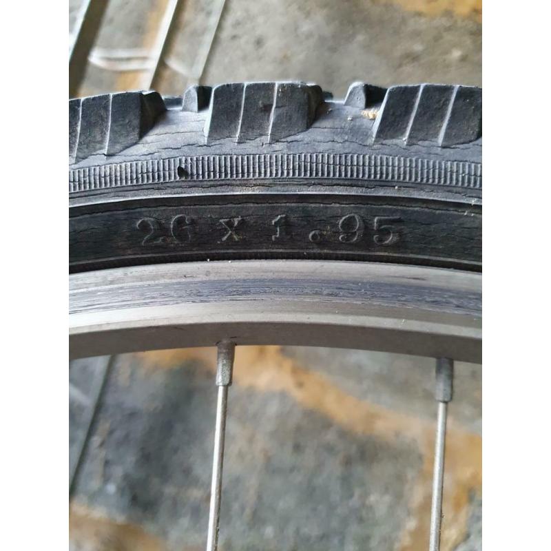 Velo homme