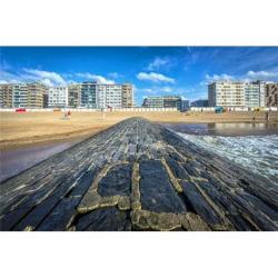 Studio 4 p bord de mer digue promenade d'Ostende à la plage
