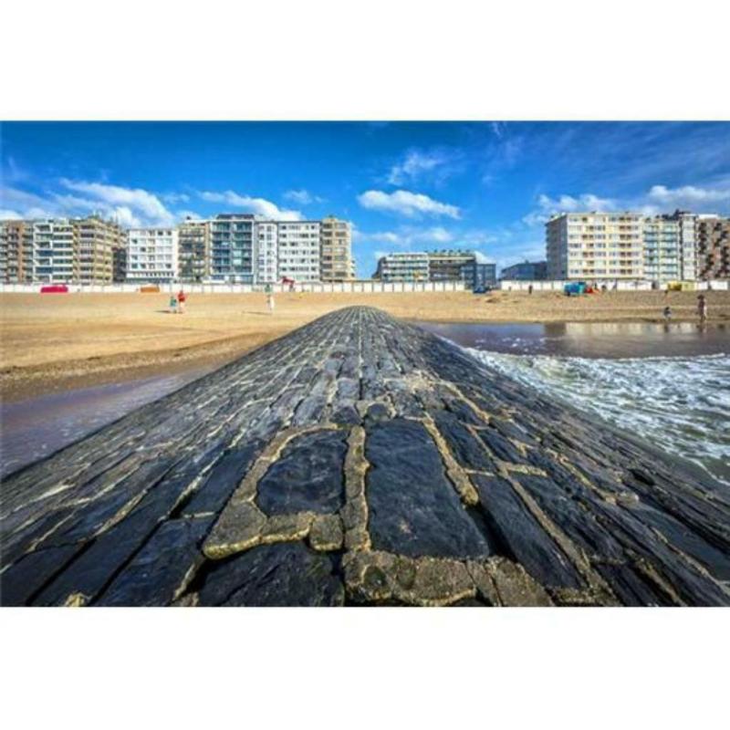 Studio 4 p bord de mer digue promenade d'Ostende à la plage