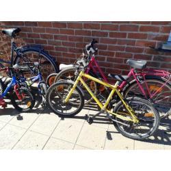 Beaucoup de vélos