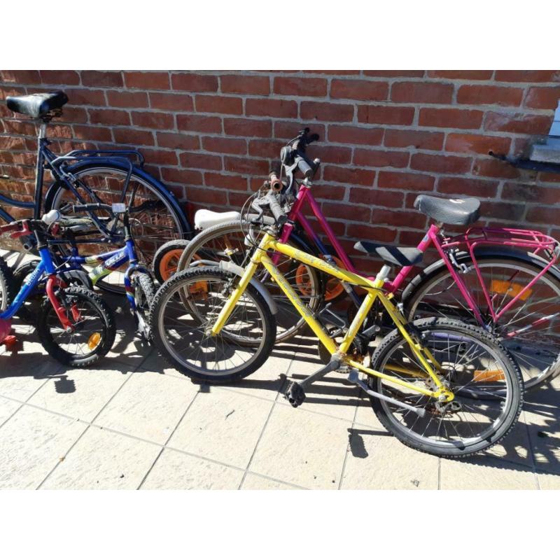 Beaucoup de vélos