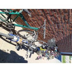 Beaucoup de vélos
