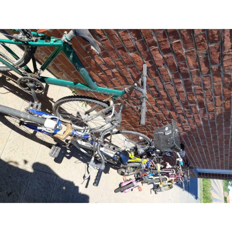 Beaucoup de vélos