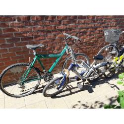 Beaucoup de vélos