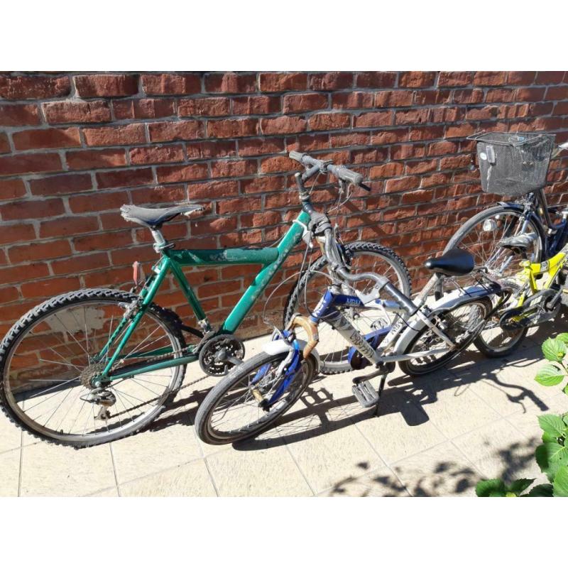 Beaucoup de vélos