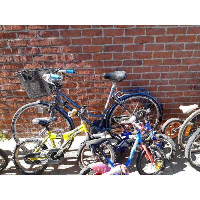 Beaucoup de vélos